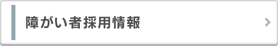 採用情報 株式会社レベルファイブ